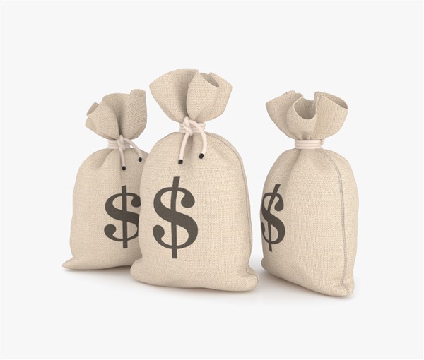Money Bags 3D model – 3Docena